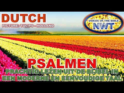 PRACHTIGE LEZEN /PSALMEN/ BIJBEL NWV VAN DE HEILIGE SCHRIFT 2004- MODERNE EN EENVOUDIGE TAAL