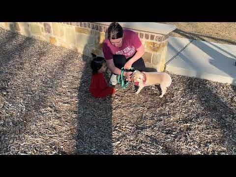 Nirvi playing with DOG