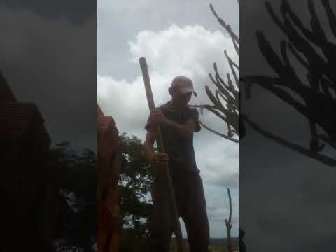 Eu Dinho Bahia no trabalho cavando valeta para em canção em Cícero Dantas Bahia 