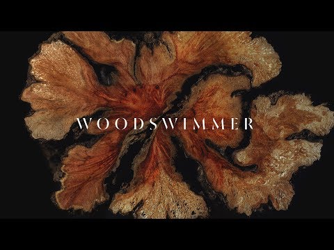 WoodSwimmer