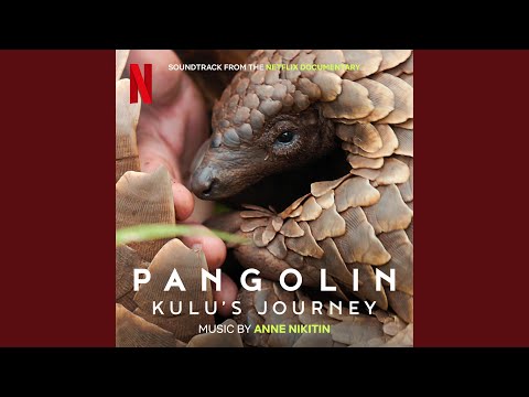 Video thumbnail for Kulu’s Journey