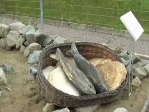 Wideo - Ogrody biblijne - YouTube