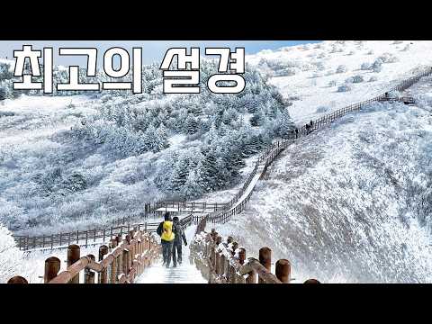 외국보다 멋진 대한민국 눈꽃 Top 12 | 겨울 설산 명소 총정리