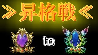 【Shadowverse】2年ぶり復帰勢の昇格戦 from A to AA