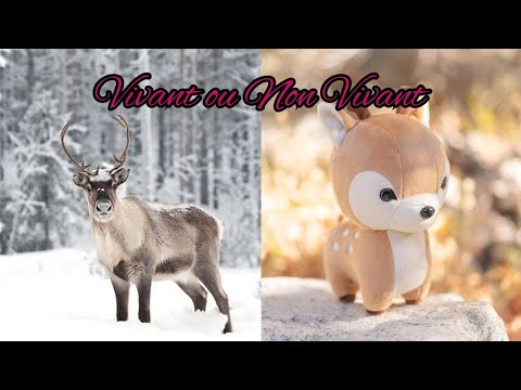 Les vivants et les non vivants