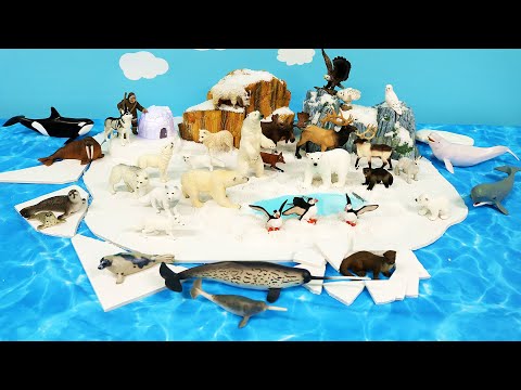 Polar Animal Figurines and Arctic Tundra Diorama