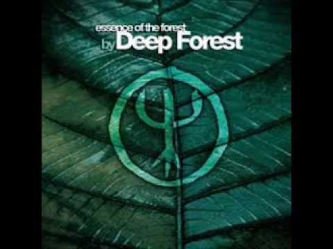 download lagu mp3 mp4 Deep Forest Essence Of The Forest, download lagu Deep Forest Essence Of The Forest gratis, unduh video klip Deep Forest Essence Of The Forest