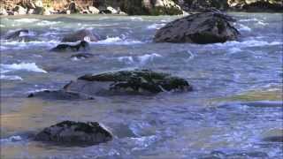 Shall We Gather at the River ~ The Hee Haw Gospel Quartet