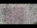 Air Bud World Pup 2000 VHS Review