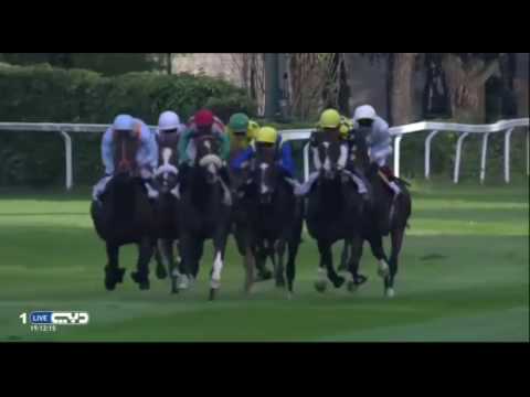 2016.10.16 Gran Premio del Jockey Club (ITA) - Ventura Storm