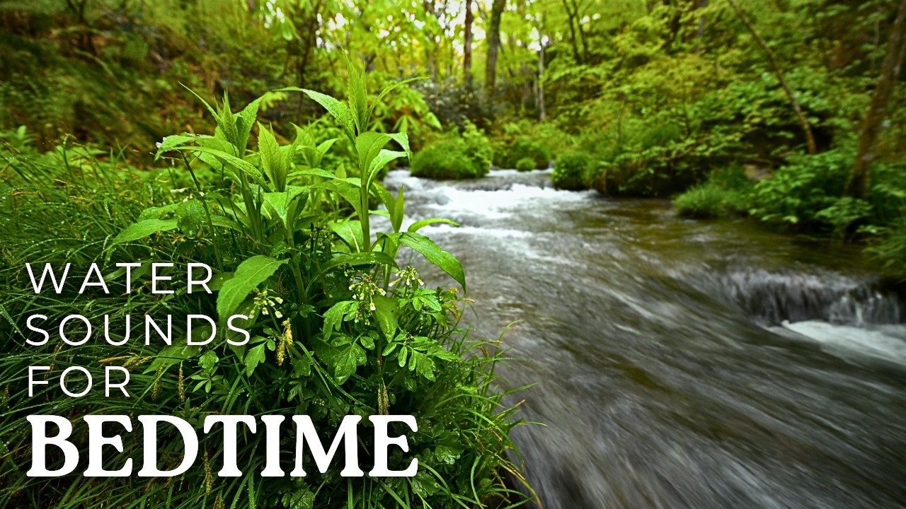 SLEEP AID | Natural White Noise Stream for Sleep & Focus