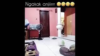 Download lagu MAIN JELANGKUNG NGERI 😱 #komedi #videolucu mp3