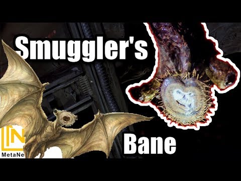 A Spice Lord's Nightmare | Mynock Species Explained | Creepy Star Wars Creatures