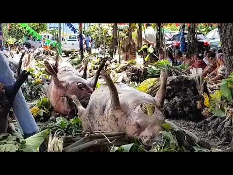 FAKAFIAFIA OLE ASO O VAISEI...