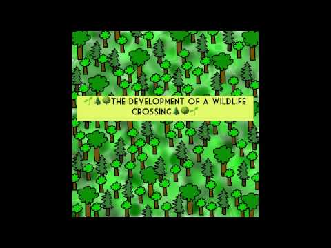 Development of a Wildlife Crossing Video