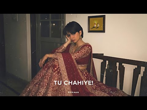 TU CHAHIYE - Zohaan | Official Audio | Dreampop 2026