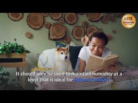 download lagu mp3 mp4 Dry Mode, download lagu Dry Mode gratis, unduh video klip Dry Mode