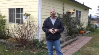 Plan B mortgage free. How you can own your own small home mortgage free