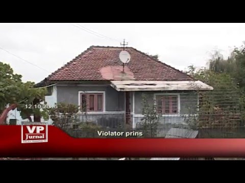 Violator prins