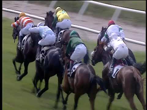 Galoppo 11/06/2019 - 2ª corsa