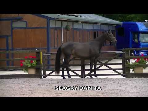 Seagry Danita (D'Egalite/For Romance I/Stedinger)