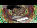 Divided Alien  (Daevid Allen)  Smile