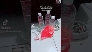 Download lagu #storywa amer seger 🍻 mp3 Download lagu #storywa amer seger 🍻 mp3