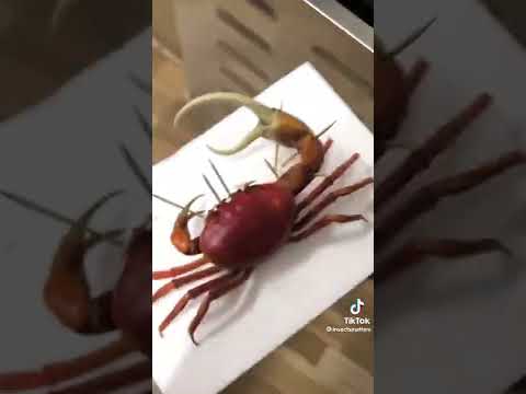 CRAB NEVER THOUGHT THIS WOULD WORK