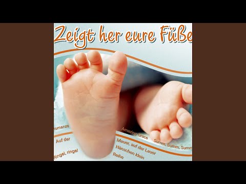 Ringel, ringel reihe