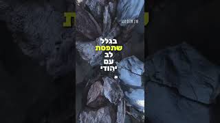 הרב שלום סבג – אור ישר ואור חוזר ✨ (הרב שלום סבג) - התמונה מוצגת ישירות מתוך אתר האינטרנט יוטיוב. זכויות היוצרים בתמונה שייכות ליוצרה. קישור קרדיט למקור התוכן נמצא בתוך דף הסרטון