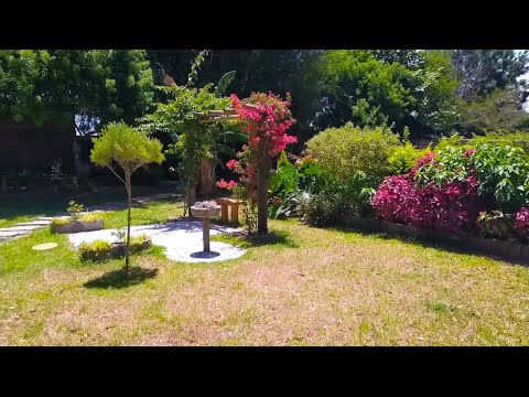 Ela cuida do seu JARDIM GIGANTE CERCADO de PLANTAS com mais de 2000 METROS