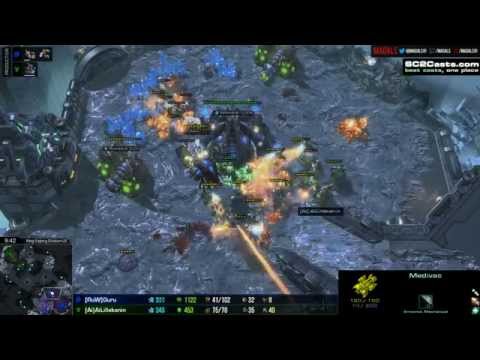 Guru v Lillekanin   ZvT