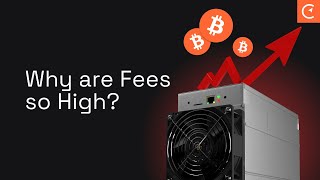 Why Bitcoin Transaction Fees Are So High Right Now