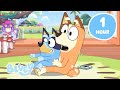 Chilli Bluey Adventures Fun Games With Mum 1 HOUR Bluey