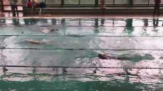 preview picture of video 'Nat. Zwemcompetitie -HK- dl.4 - (Stadskanaal) - Heren (DZ&PC) - 4 x 200 vrij'