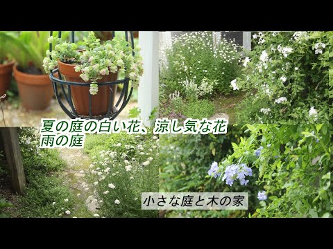 機能的で美しく、耐久性のある雨の庭を作るにはどうすればよいでしょうか?初心者向けの無料ガイド！  庭園