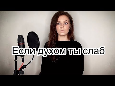 Алиса Супронова - Если духом ты слаб (Тимур Муцураев)