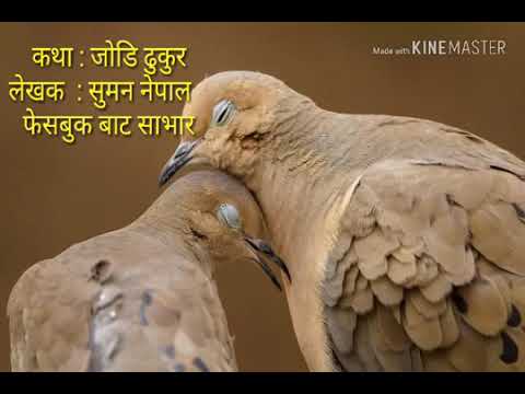 Joodi dhukur kids kahani