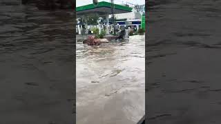 Download lagu lahore after heavy rain lahore latest news #lahore #police #rain #rainfall #weather #police #ravi mp3 Download lagu lahore after heavy rain lahore latest news #lahore #police #rain #rainfall #weather #police #ravi mp3