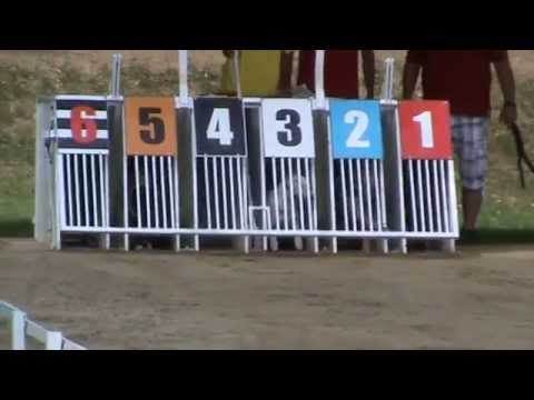 CZECH DERBY 3rd semifinal - Dopping Ryan