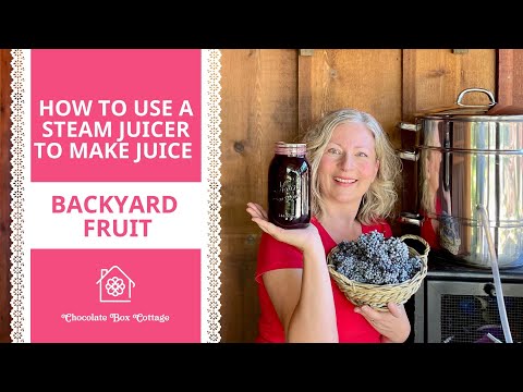 How to Use a Steam Juicer | Make Fresh Elderberry Juice for Syrup, Jelly, and More!