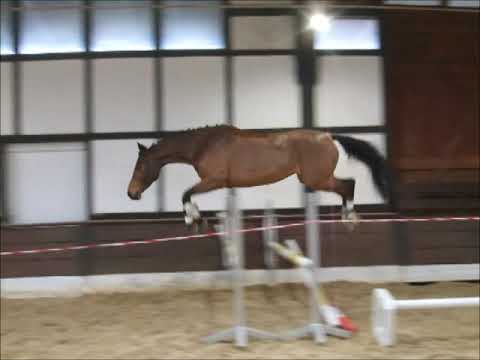 CALA PI v. Check In - Quantus Freispringen VB 7.000,- Euro