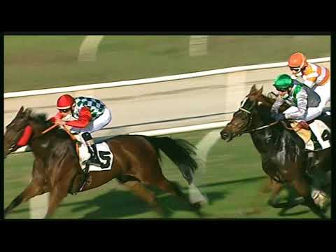 Galoppo 09/11/2020 - 3ª corsa