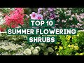 10 Favorite Summer Flowering Shrubs For Full Sun ️ Sun Loving Shrubs