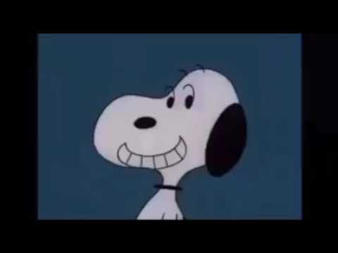 Snoopy Come Home Introduction