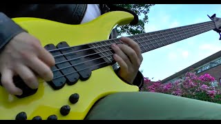 Periphery - The Way The News Goes (Bass cover by Werner Erkelens)