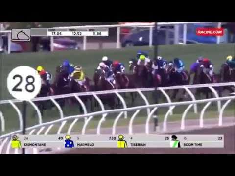 2017 Emirates Melbourne Cup - Rekindling