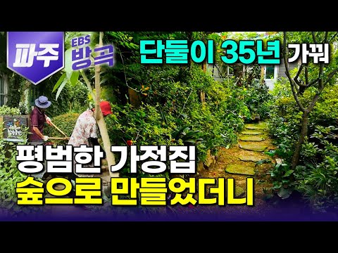 [경기 파주] "옥상은 닭한테 내주고, 동네 아지트 됐다" 콘크리트 아파트 숲 바로 옆, 꽃 좋다는 아내와 돌 모으는 남편이 신혼 때부터 35년 가꾼 정원｜#한국기행 #방방곡곡