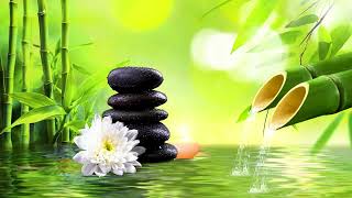 Calming Piano Music with Bamboo Fountain Healing 24/7 Relax with music accompanied by natural sounds