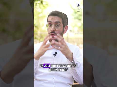 Les 4 espèces de Souccot. Mais pourquoi les remuer sous la souccah ? par Rav David Boccara #torah